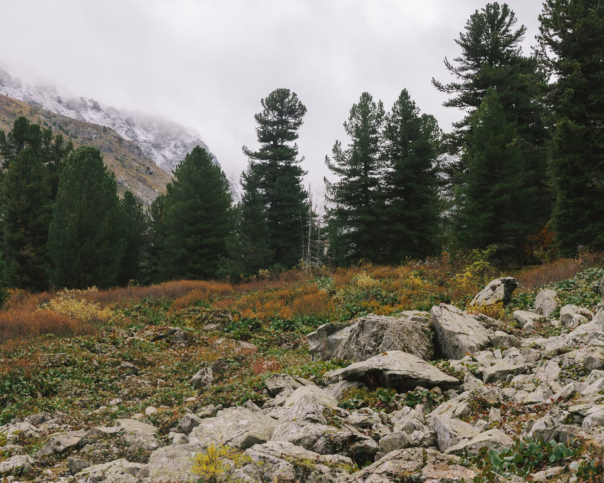 Exploring the World of Sustainable Fashion: A Journey Towards Ethical Choices